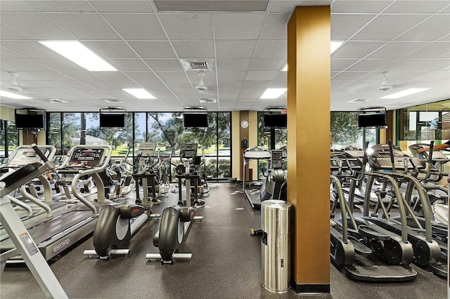 gym featuring a paneled ceiling and expansive windows