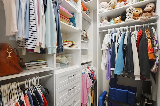 view of spacious closet