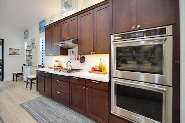 kitchen featuring backsplash, dark brown cabinets, stainless steel appliances, and light wood-type flooring