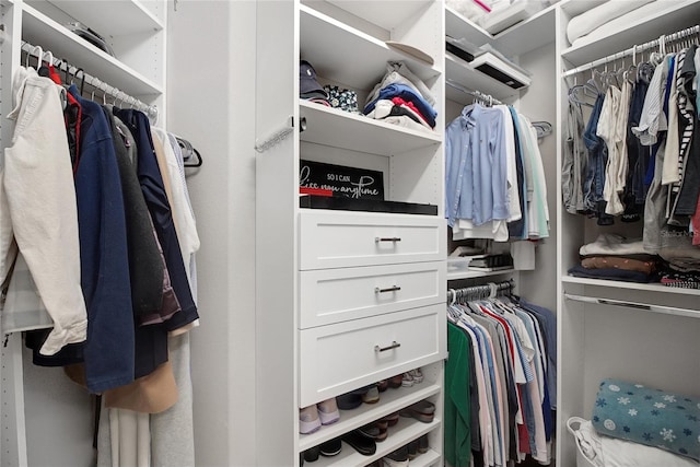 view of spacious closet