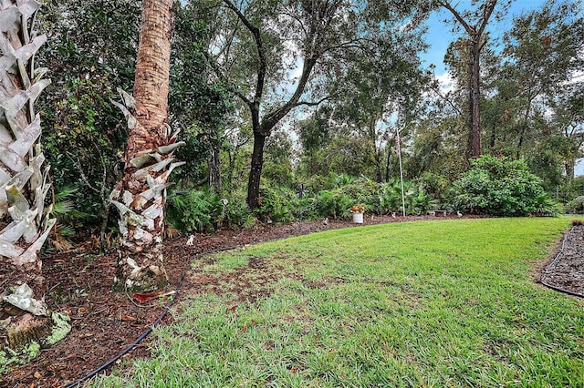 1720 Park Forest Blvd, Mount Dora, FL 32757 - view of green lawn