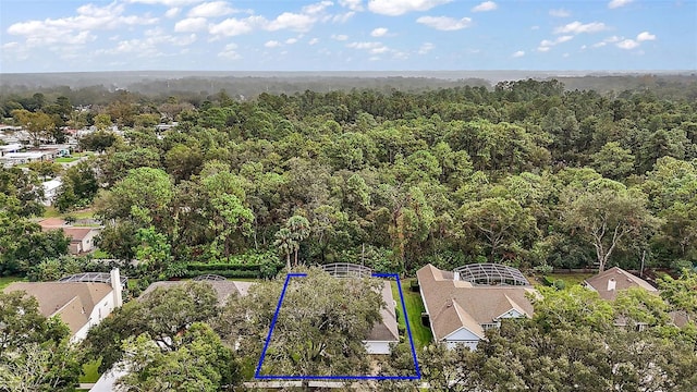 1720 Park Forest Blvd, Mount Dora, FL 32757 - aerial overview of property's location featuring property parcel outlined and a forest