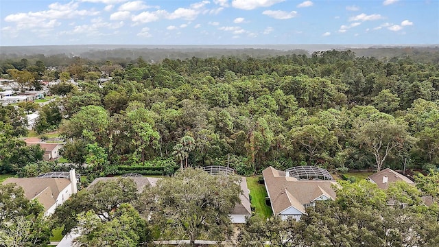 1720 Park Forest Blvd, Mount Dora, FL 32757 - drone / aerial view of a heavily wooded area