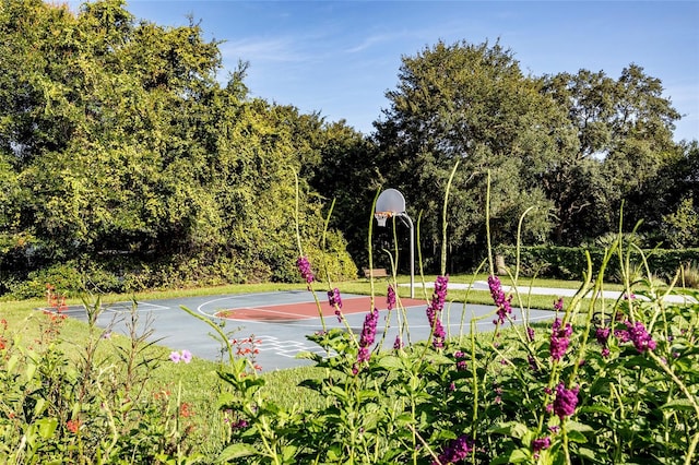 view of basketball court