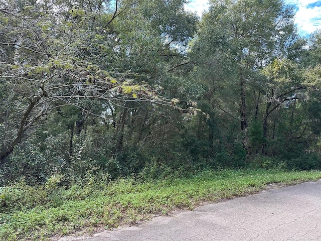 TBD Guava Terrace Pass, Ocklawaha FL, 32179 land for sale