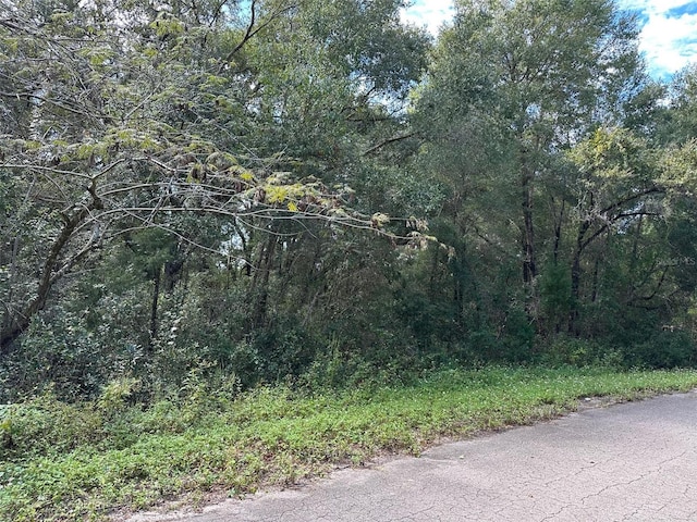TBD Guava Terrace Pass, Ocklawaha, FL 32179