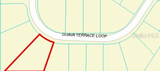 Listing photo 2 for TBD Guava Terrace Pass, Ocklawaha FL 32179