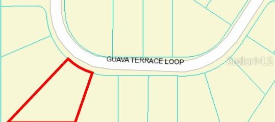 TBD Guava Terrace Pass, Ocklawaha, FL 32179