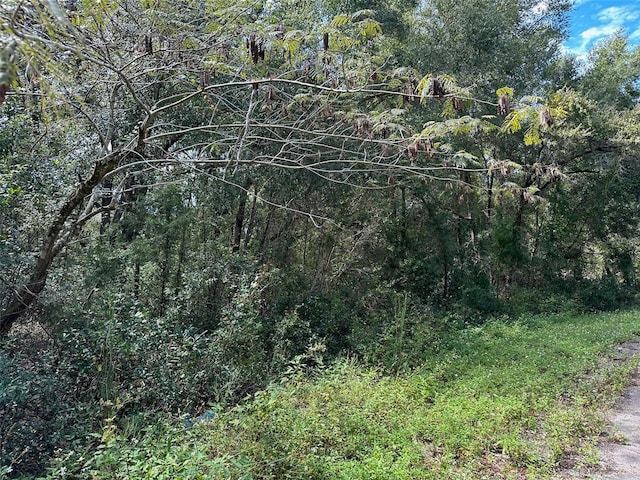 TBD Guava Terrace Pass, Ocklawaha, FL 32179