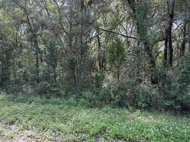 TBD Guava Terrace Pass, Ocklawaha, FL 32179