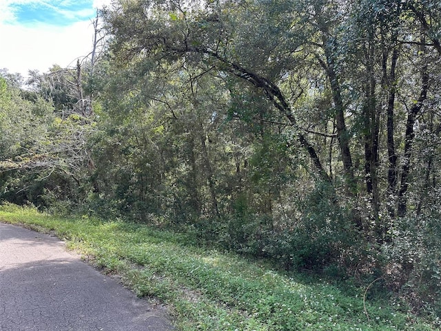 TBD Guava Terrace Pass, Ocklawaha, FL 32179