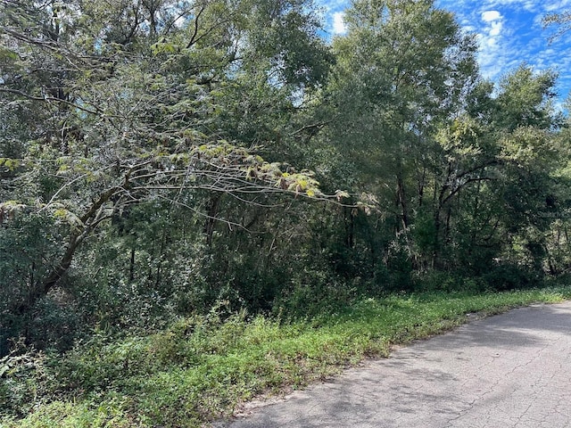 TBD Guava Terrace Pass, Ocklawaha, FL 32179