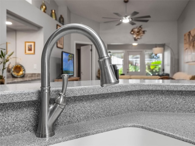 interior details featuring sink and ceiling fan