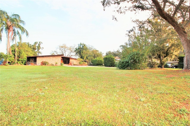 view of yard