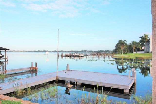 dock area featuring a water view