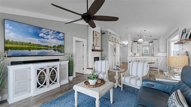 living room featuring ceiling fan and dark hardwood / wood-style floors