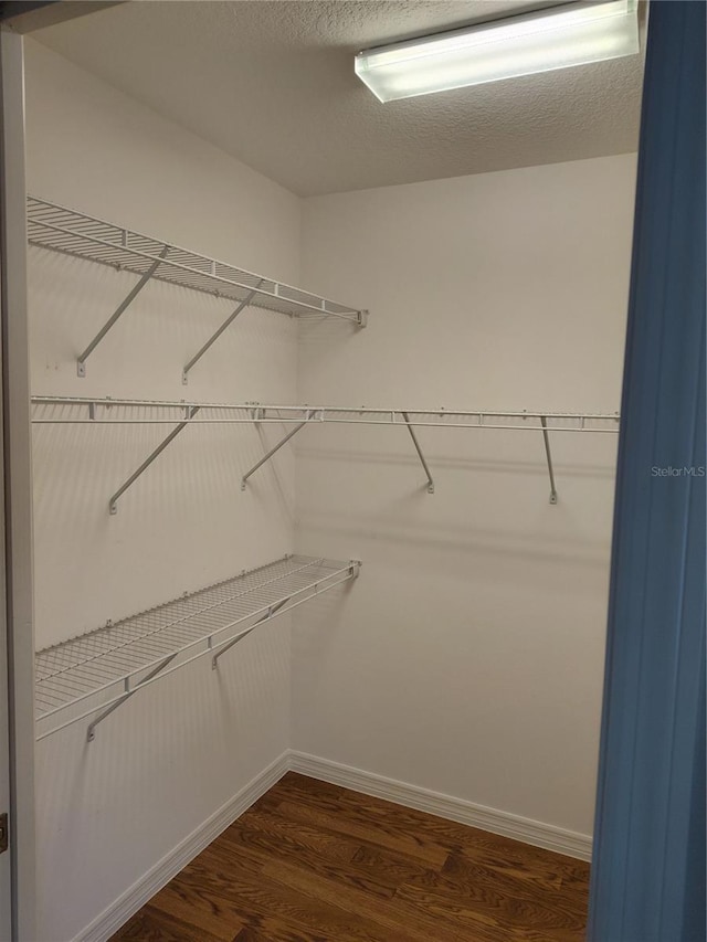 walk in closet with dark wood-type flooring