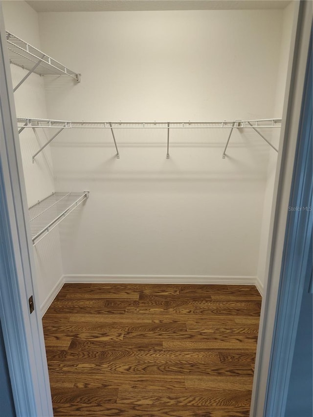 walk in closet featuring dark hardwood / wood-style floors