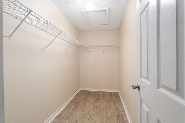 spacious closet with light hardwood / wood-style floors