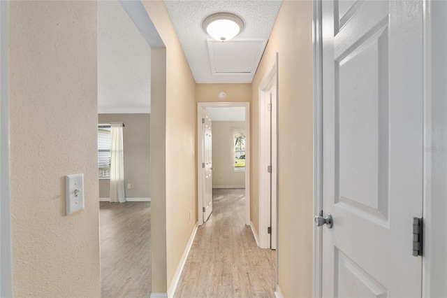 hall with a wealth of natural light, light hardwood / wood-style flooring, and a textured ceiling