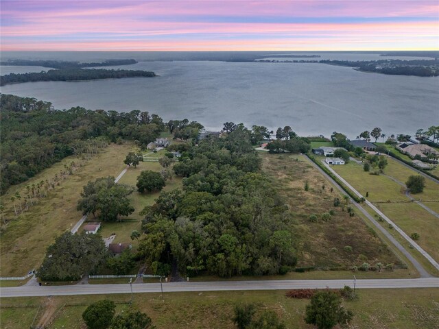6118 Dora Dr, Mount Dora, FL 32757 - photo 66
