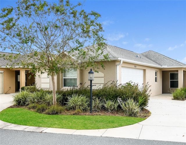 single story home with concrete driveway, roof with shingles, an attached garage, and stucco siding