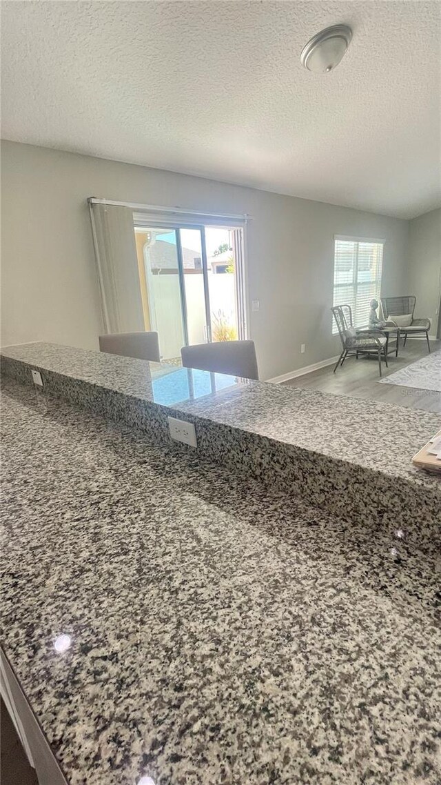 928 Nuthatch Ave, The Villages, FL 32163 - kitchen featuring plenty of natural light, stone countertops, and a textured ceiling