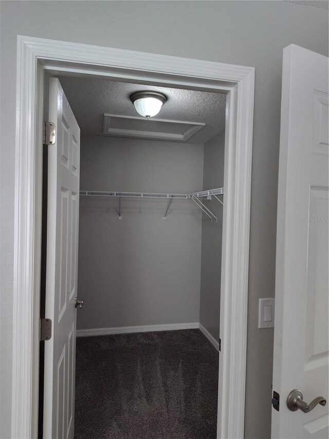 928 Nuthatch Ave, The Villages, FL 32163 - walk in closet featuring carpet flooring and attic access