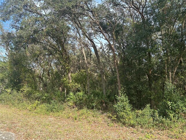 9114 Realstone Dr, Webster, FL 33597 - photo 1