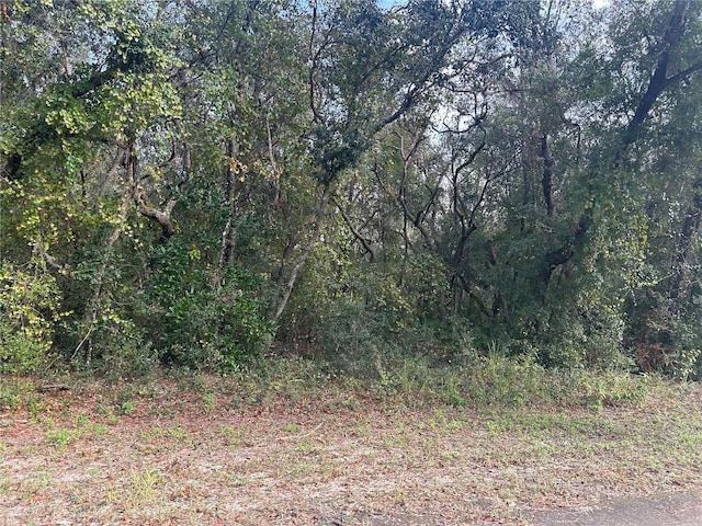 9114 Realstone Dr, Webster, FL 33597 - photo 3