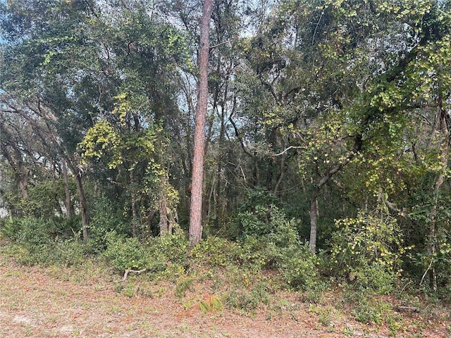 9114 Realstone Dr, Webster, FL 33597 - photo 4