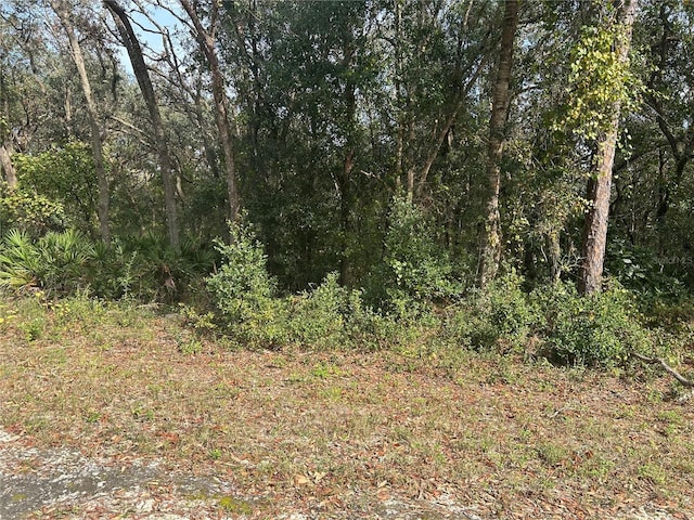9114 Realstone Dr, Webster, FL 33597 - photo 5