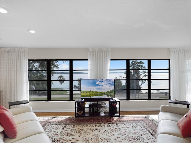 living room with hardwood / wood-style flooring