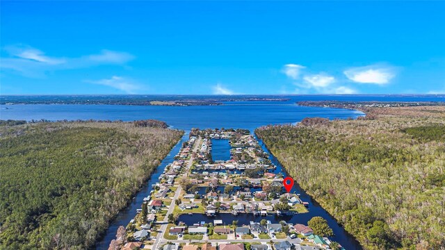 bird's eye view with a water view and a forest view