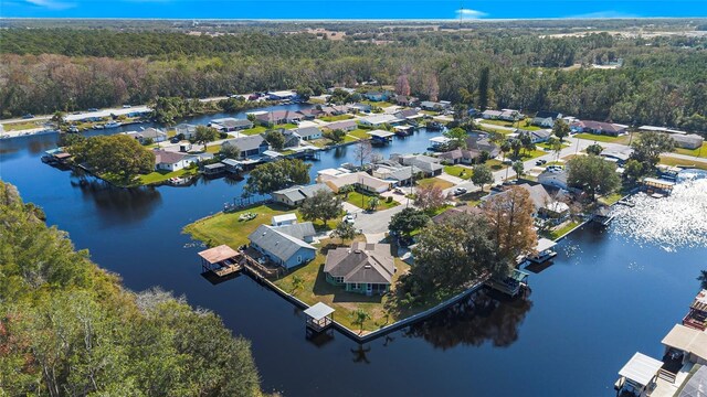 bird's eye view featuring a water view and a forest view