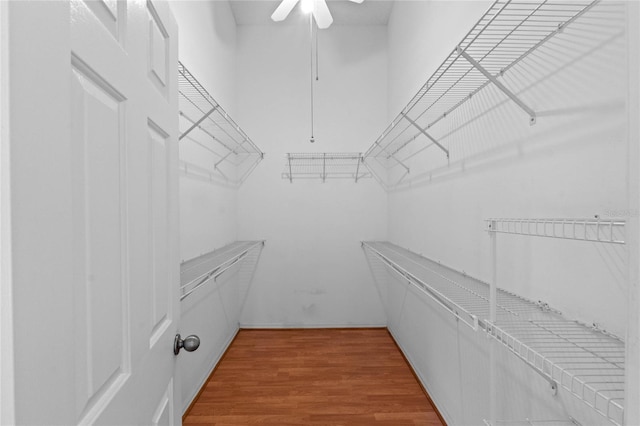 walk in closet featuring hardwood / wood-style floors and ceiling fan