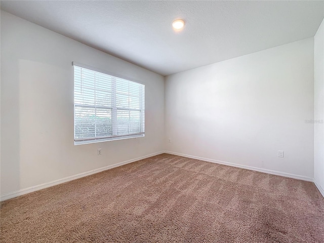 empty room featuring carpet floors