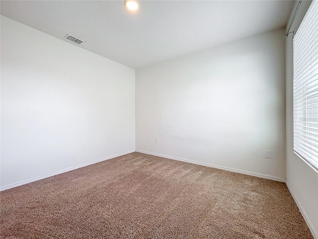 spare room with carpet