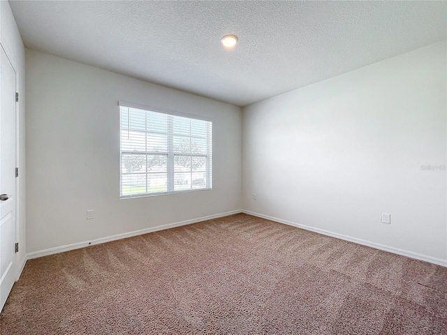 empty room featuring carpet flooring and a textured ceiling