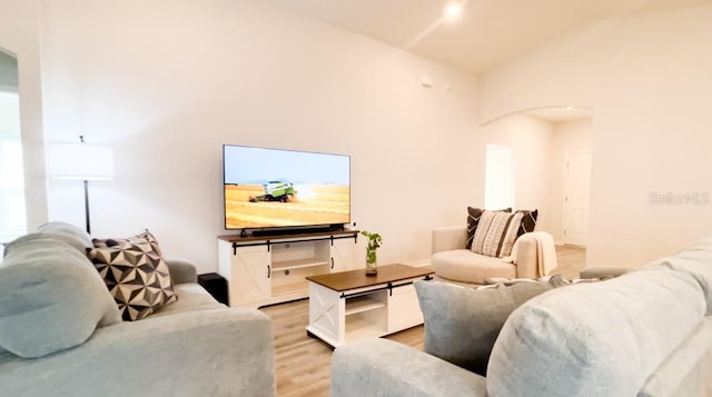 living room with high vaulted ceiling and light hardwood / wood-style floors