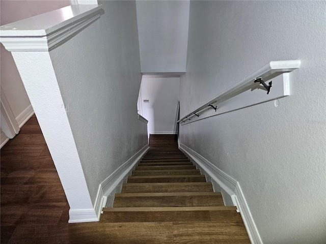 staircase featuring wood-type flooring