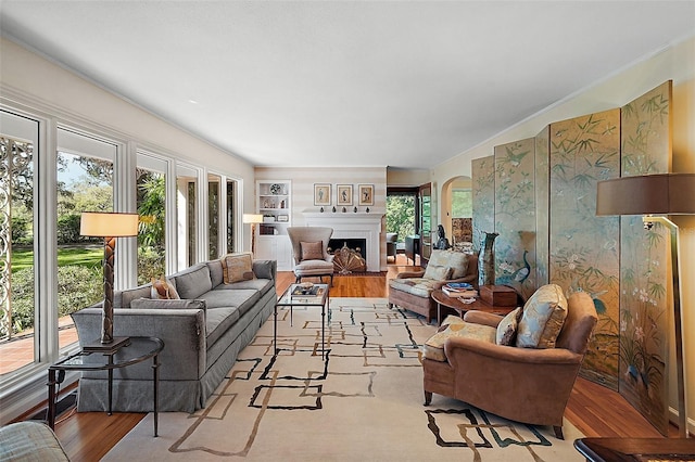 living room featuring built in shelves, plenty of natural light, and light wood-type flooring