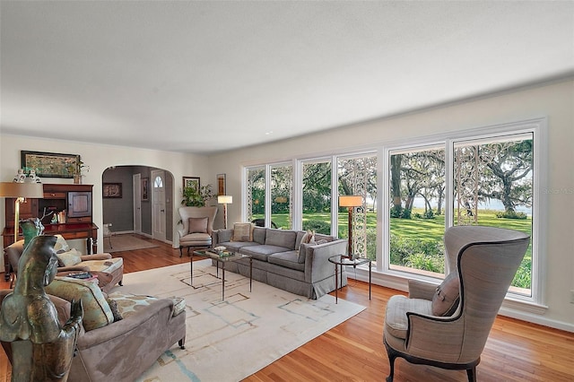 living room featuring a healthy amount of sunlight and light wood-type flooring