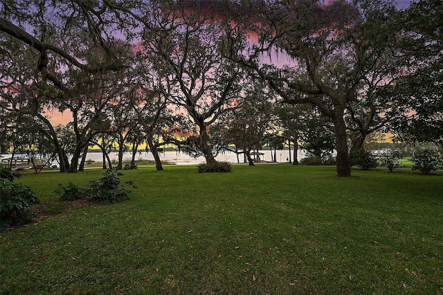 view of yard at dusk