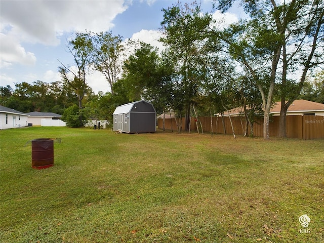 view of yard featuring a shed