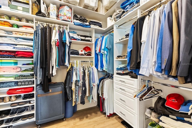 spacious closet featuring light wood-type flooring