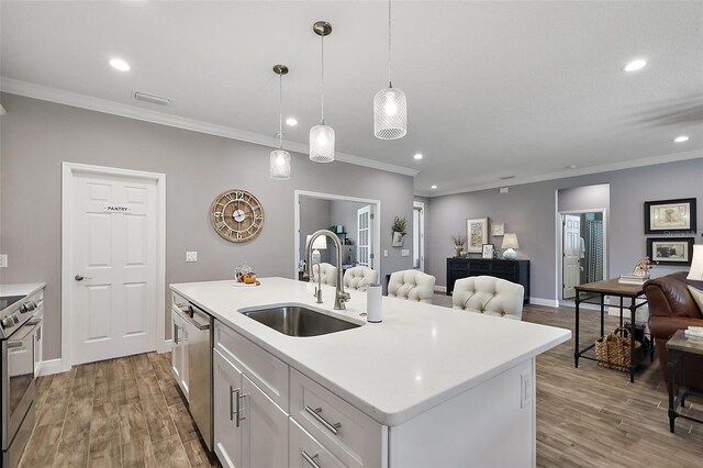 kitchen featuring sink, hanging light fixtures, hardwood / wood-style flooring, an island with sink, and appliances with stainless steel finishes