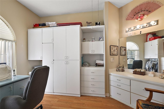 home office featuring a wealth of natural light and light hardwood / wood-style floors