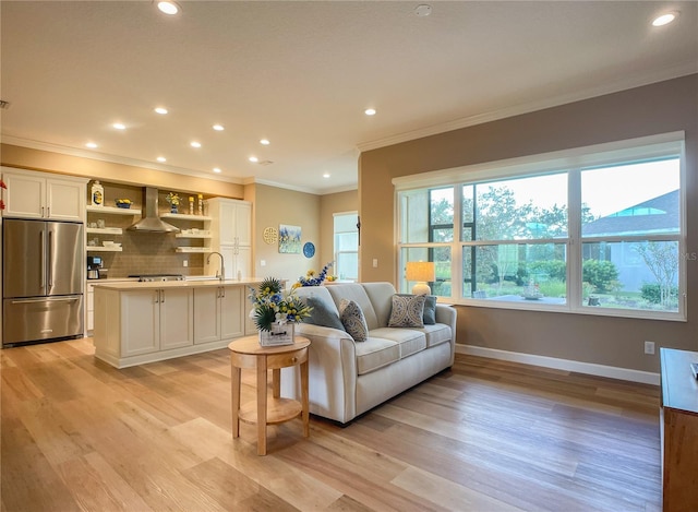 living room with sink, crown molding, and light hardwood / wood-style floors