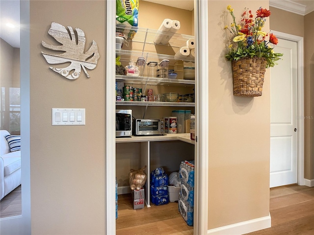 1010 Nantucket Sound, Mount Dora, FL 32757 - view of pantry